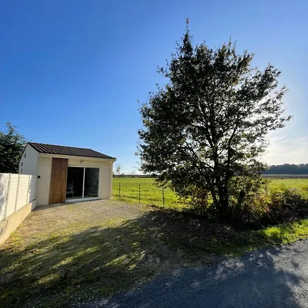 Maison Avec Grand Espace En Hauteur *